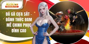 Đá Gà Cựa Sắt - Đánh Thức Đam Mê Chinh Phục Đỉnh Cao