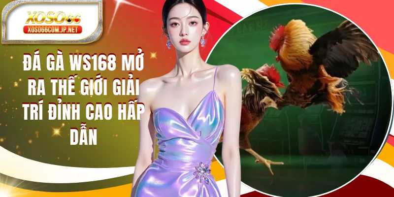 Đá Gà WS168 Mở Ra Thế Giới Giải Trí Có 1-0-2
