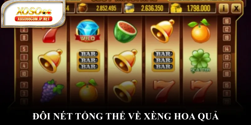 Đôi nét tổng thể về xèng hoa quả