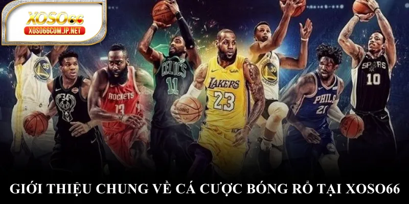 Giới thiệu chung về cá cược bóng rổ tại XOSO66